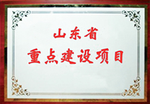 山东省重点建设项目